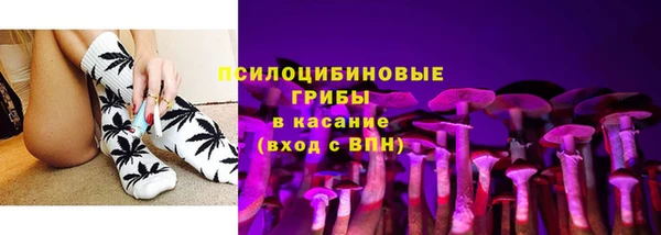 не бодяженный Новодвинск