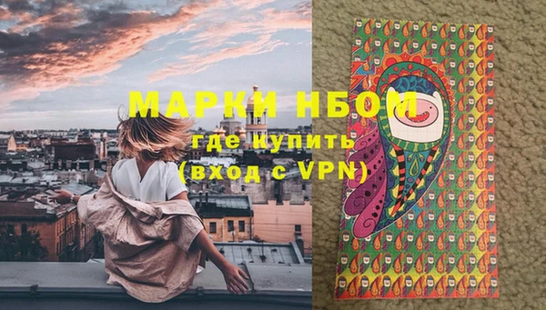 не бодяженный Новодвинск