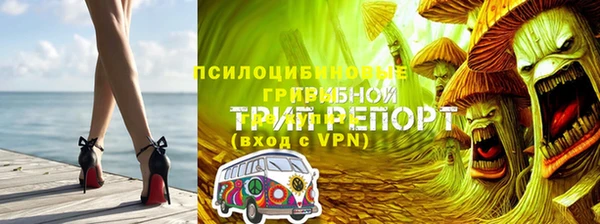 не бодяженный Новодвинск