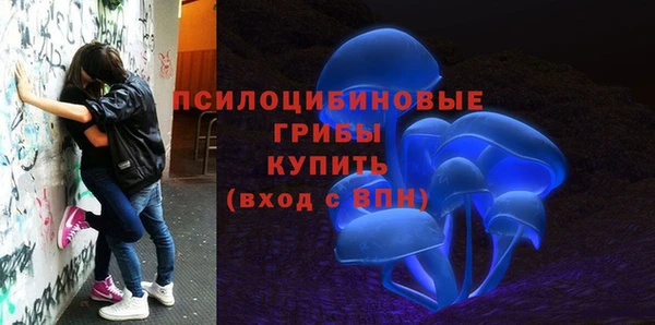 дурь Новокубанск