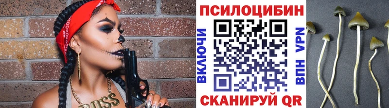 Псилоцибиновые грибы Cubensis  продажа наркотиков  Серов 