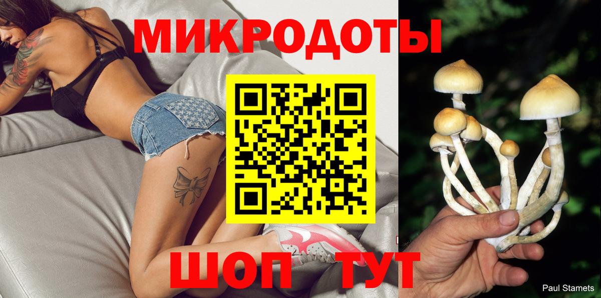 Псилоцибиновые грибы ЛСД  наркошоп  Серов  Вход с VPN  Галлюциногенные грибы Psilocybe 